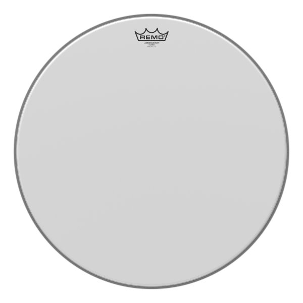 Ambassador Drumhead 20"