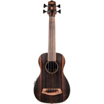 Striped Ebony Acoustic-Electric