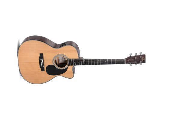 Acoustic Guitars