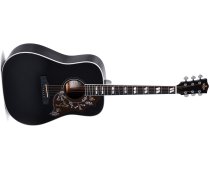 SG Series Dreadnought Acoustic Guitar With Case, Polished Gloss with Black Finish