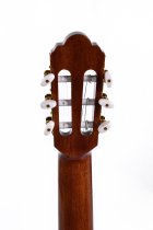 Classical Acoustic-Electric Guitar, Satin