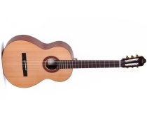 Classical Acoustic Guitar, Satin