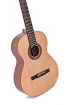 Classical Acoustic Guitar, Satin