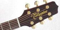 Pro Series Acoustic Electric Guitar