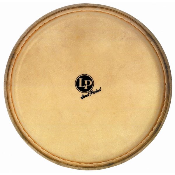 Latin Percussion 11-Inch Rawhide Quinto Conga Head - Replacement For CP646/CP643 Drums