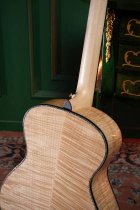 6 String RH Gold Series Acoustic Electric Guitar with Case, Natural Gloss