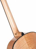 6 String RH Gold Series Acoustic Electric Guitar with Case, Natural Gloss