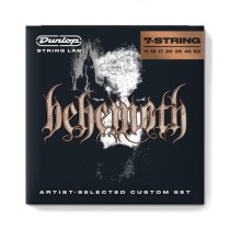 Behemoth Artist-Selected Custom 7-String Set - 11-62