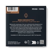 Behemoth Artist-Selected Custom 7-String Set - 11-62