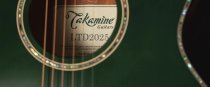 Limited Edition 6 String Acoustic Electric Guitar with Semi-Hard Gigbag, Green