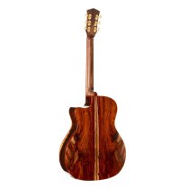 Gold Series A10 Cocobolo Acoustic/Electric Guitar with Case