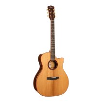 Gold Series A10 Cocobolo Acoustic/Electric Guitar with Case