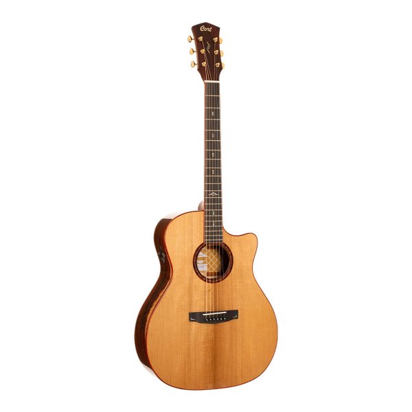 Gold Series A10 Cocobolo Acoustic/Electric Guitar with Case