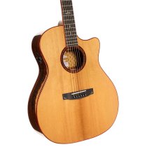 Gold Series A10 Cocobolo Acoustic/Electric Guitar with Case