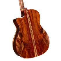 Gold Series A10 Cocobolo Acoustic/Electric Guitar with Case