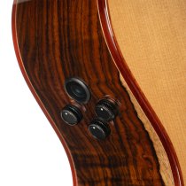 Gold Series A10 Cocobolo Acoustic/Electric Guitar with Case