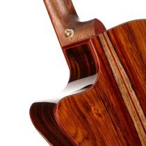Gold Series A10 Cocobolo Acoustic/Electric Guitar with Case