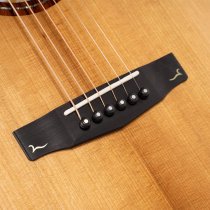 Gold Series A10 Cocobolo Acoustic/Electric Guitar with Case