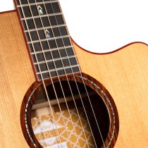 Gold Series A10 Cocobolo Acoustic/Electric Guitar with Case