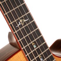 Gold Series A10 Cocobolo Acoustic/Electric Guitar with Case