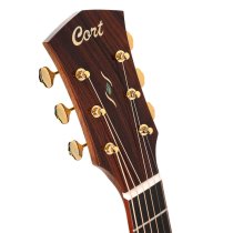 Gold Series A10 Cocobolo Acoustic/Electric Guitar with Case