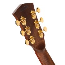Gold Series A10 Cocobolo Acoustic/Electric Guitar with Case