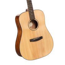 Earth Series Acoustic Guitar, Natural