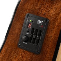 Earth Series Acoustic/Electric Guitar, Natural