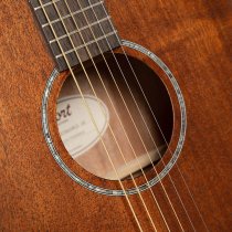 Earth Series Acoustic/Electric Guitar, Mahogany Open Pore