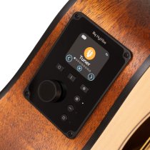Cort Earth GO Series Acoustic Guitar Open Pore