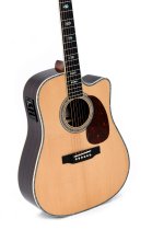 Standard Series Dreadnought Acoustic-Electric Guitar, Polished Gloss with Aging Toner