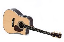 Standard Series Dreadnought Acoustic-Electric Guitar, Polished Gloss with Aging Toner