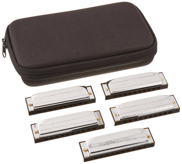 Case of Special Twenty Harmonicas in Zippered Carrying Case Keys C, G, A, D, & E