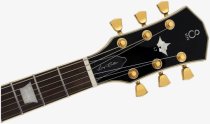 Larry Carlton Electric Guitar, Tobacco Sunburst