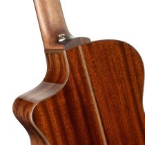 Modern Masterpiece Series Acoustic/Electric - Transparent Burgundy