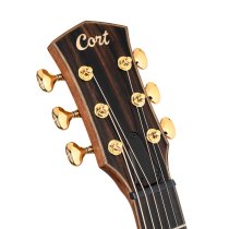 Modern Masterpiece Series Acoustic/Electric - Transparent Burgundy