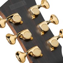 Modern Masterpiece Series Acoustic/Electric - Transparent Burgundy