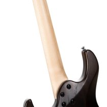 G Series Electric H-H Double Cutaway - Open Pore Walnut