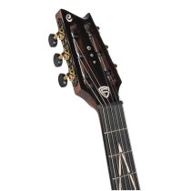 Luxe Nylon Frank Gambale Signature Acoustic Guitar