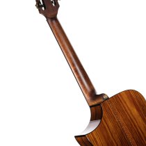 Luxe Nylon Frank Gambale Signature Acoustic Guitar