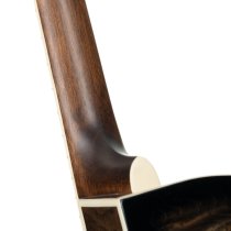 Performance Acoustic-Electric Guitar with Solid Spruce Top, Ash Black