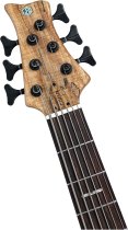 Sire Marcus Miller F10 DX 6-String Bass Guitar with Natural Hard Case