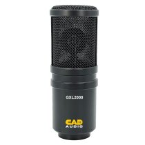 Side-Address Studio Condenser Microphone