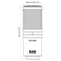 Side-Address Studio Condenser Microphone