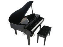 88-Key Grand Digital Piano, Polished Ebony
