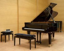 88-Key Grand Digital Piano, Polished Ebony