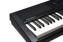 88-Key Portable Digital Piano, Black