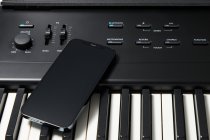88-Key Portable Digital Piano, Black
