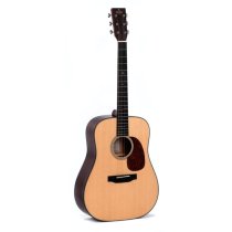 Dreadnought Acoustic Guitar With Gig Bag, Natural